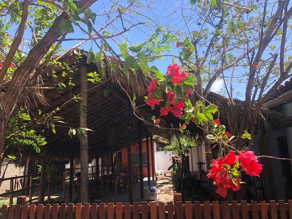 Tirol da Carol Beach Hostel Jijoca de Jericoacoara Exterior foto